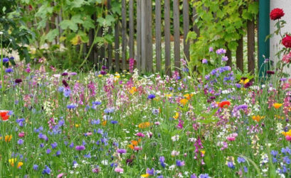 Habitat naturel dans votre jardin