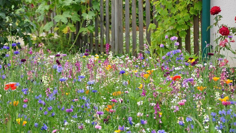 Habitat naturel dans votre jardin