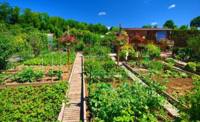 Organiser un jardin potager