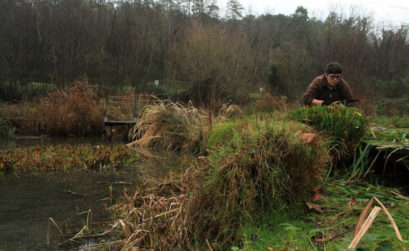 Comment nettoyer le jardin