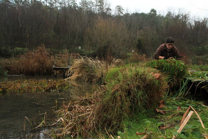 Comment nettoyer le jardin