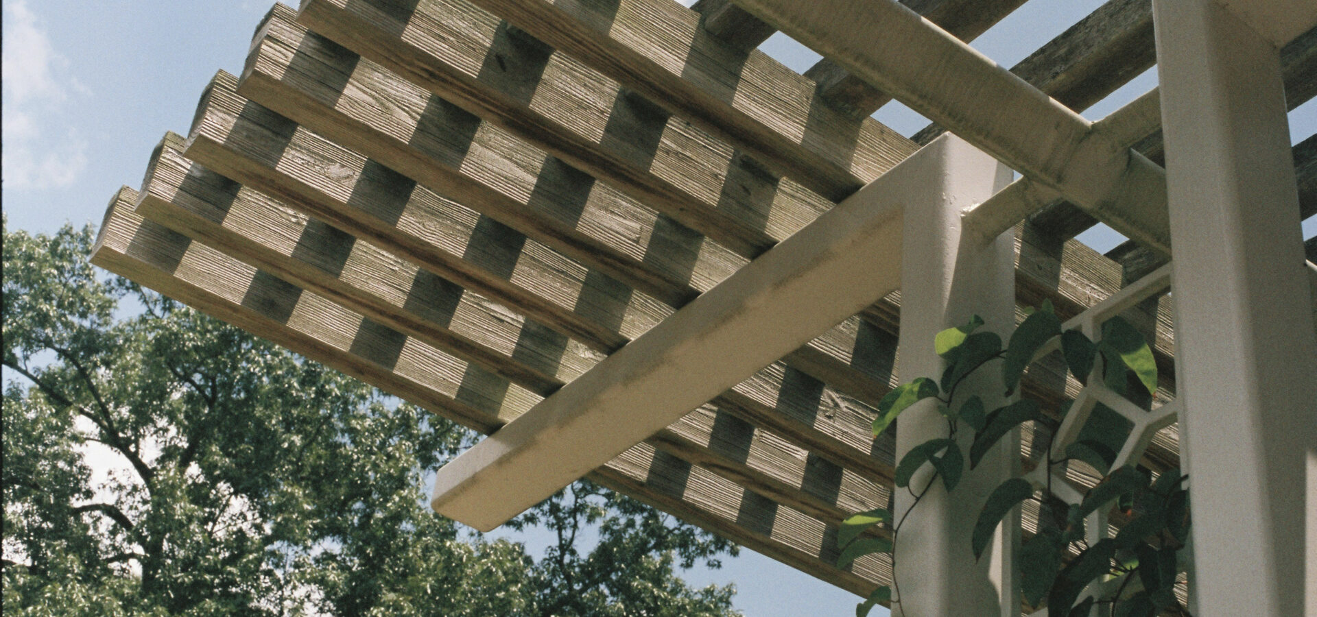 pergola exterieur