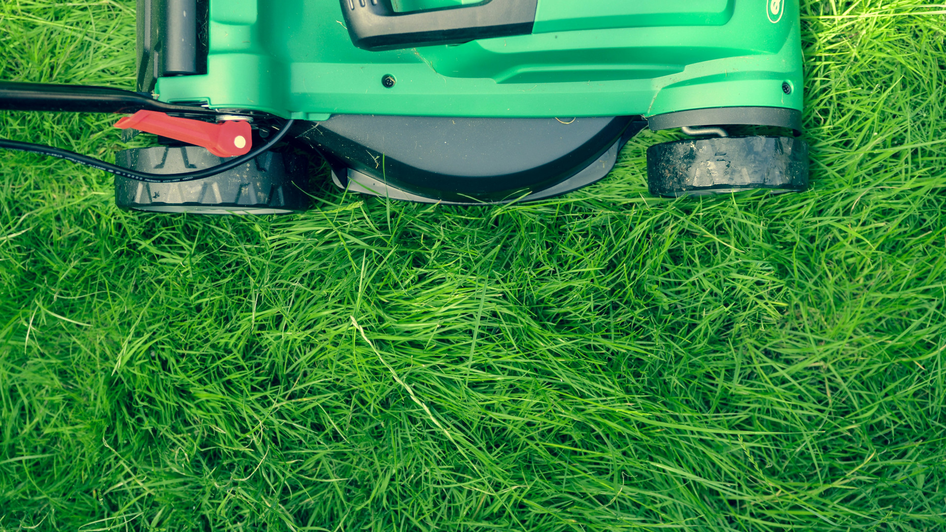 4 raisons de louer du matériel pour vos travaux de jardinage