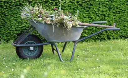 Paysagiste : comment choisir le professionnel idéal pour votre jardin