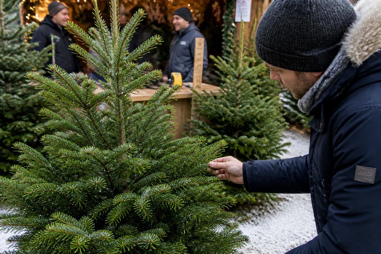 découvrez comment choisir un vrai sapin de noël parfait en vérifiant les critères essentiels pour une décoration réussie et une ambiance festive garantie.