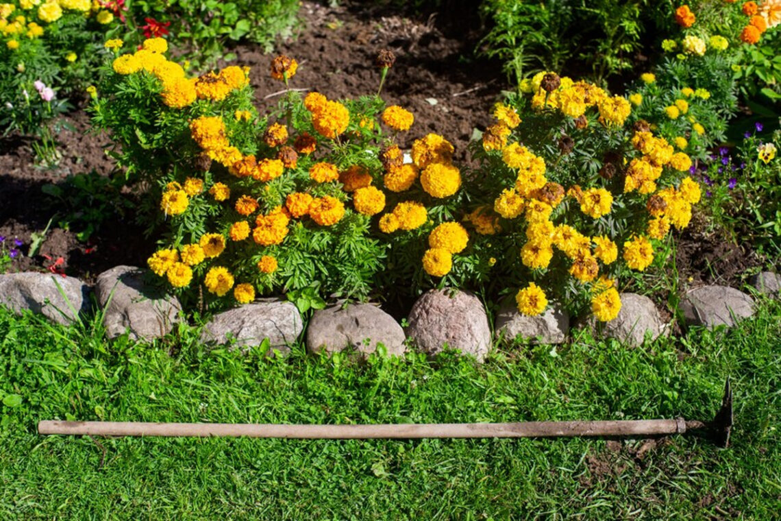 Bordures jardin