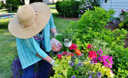 Decoration fleur dans jardin