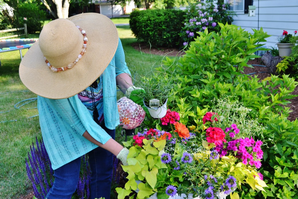 Decoration fleur dans jardin