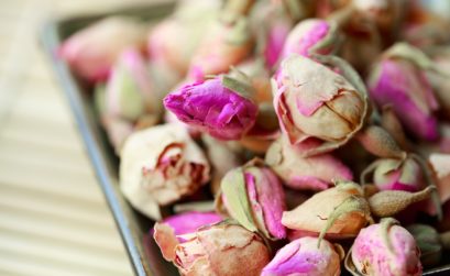 Fleurs séchées pour la déco d'intérieur