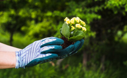 Gants Protection jardinage