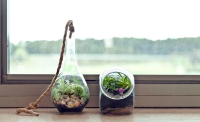 comment faire un terrarium