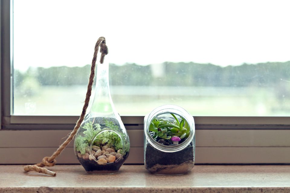 comment faire un terrarium