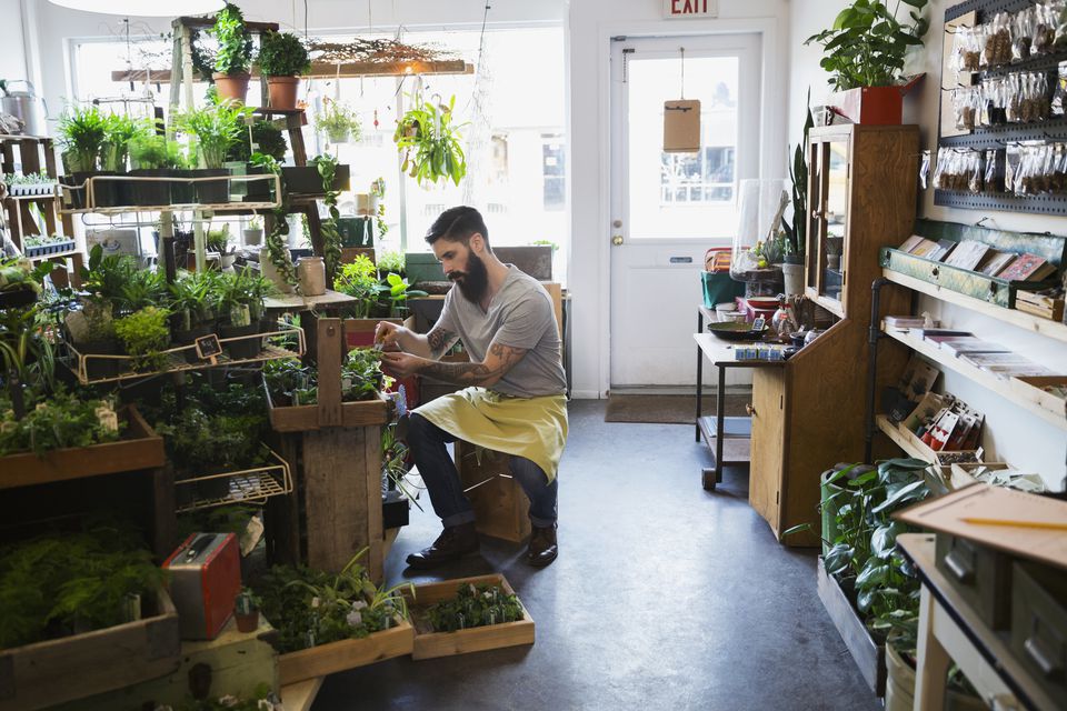 comment faire un terrarium