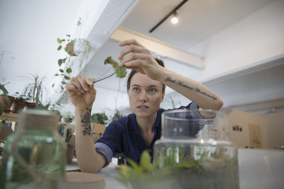 comment faire un terrarium