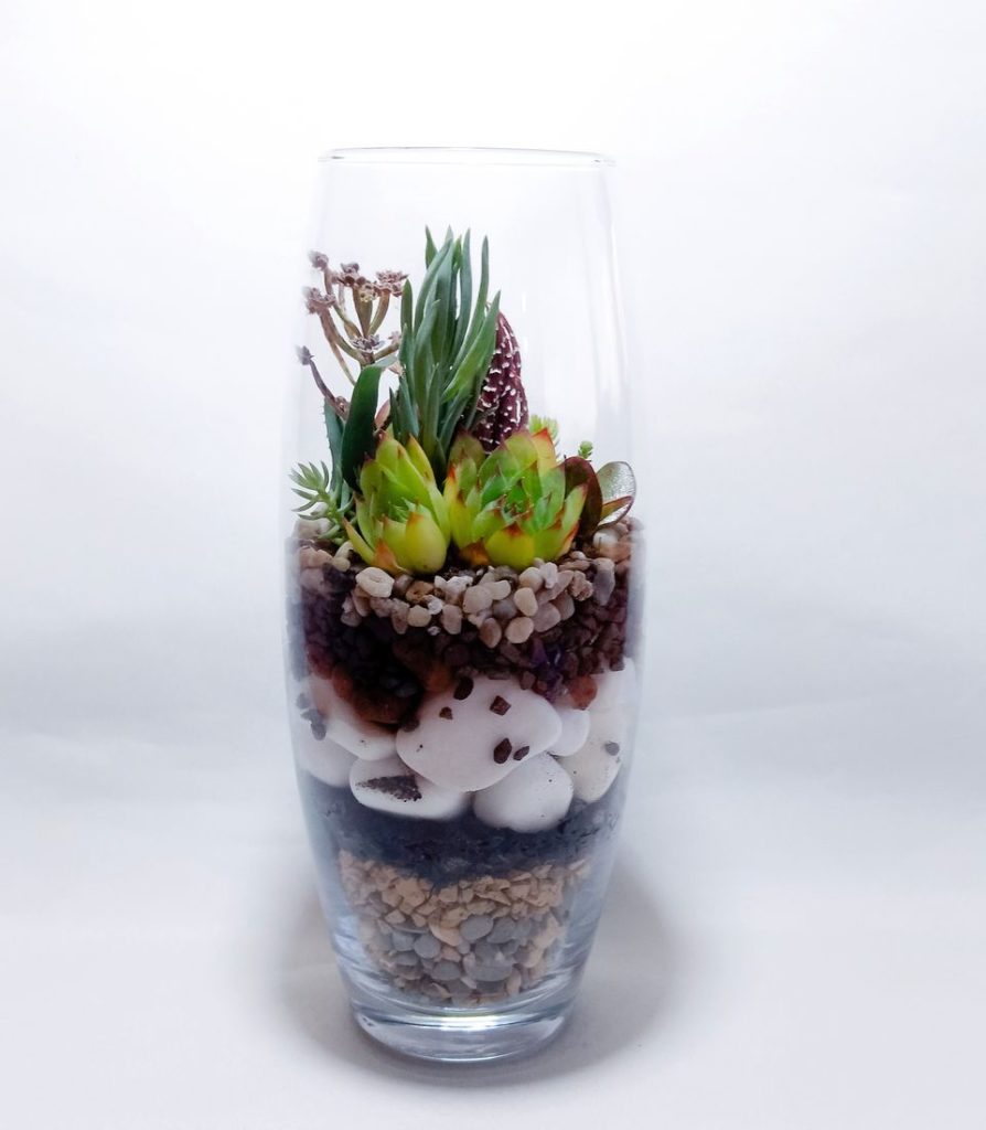 comment faire un terrarium