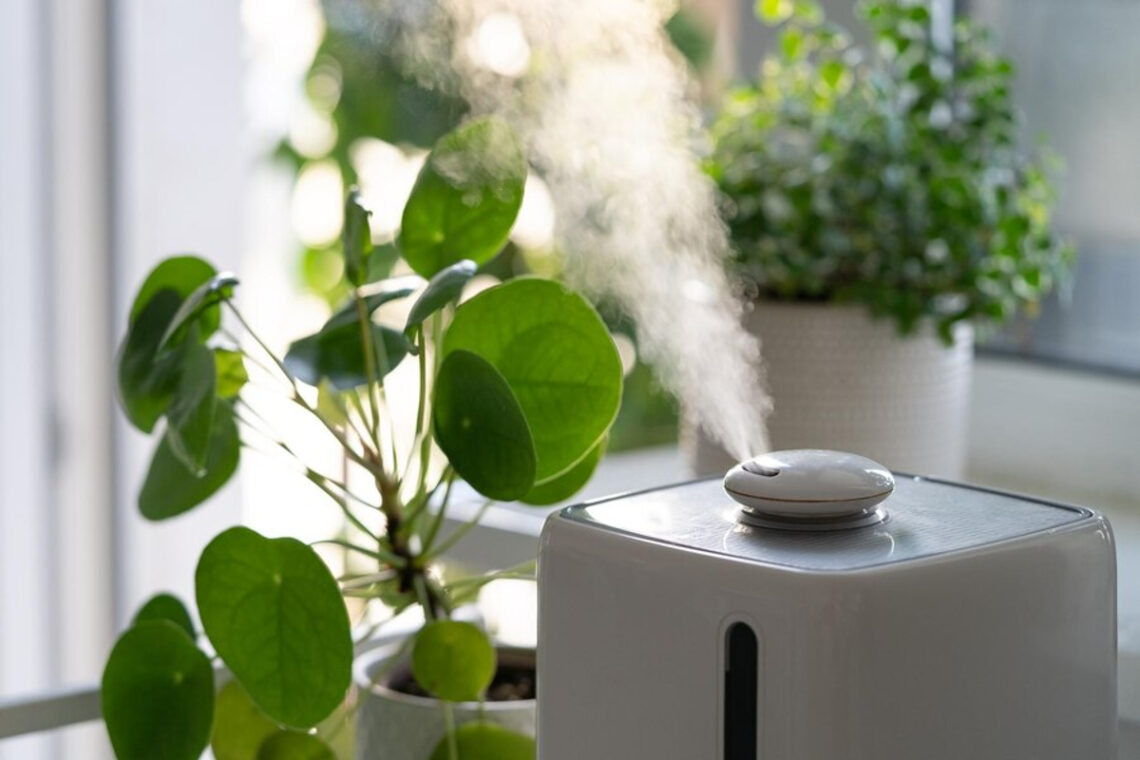 Humidificateur d'air pour plantes : conseils d'utilisation