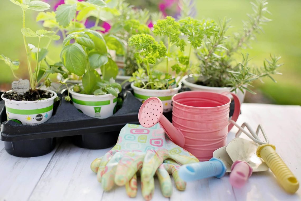 Jardinage