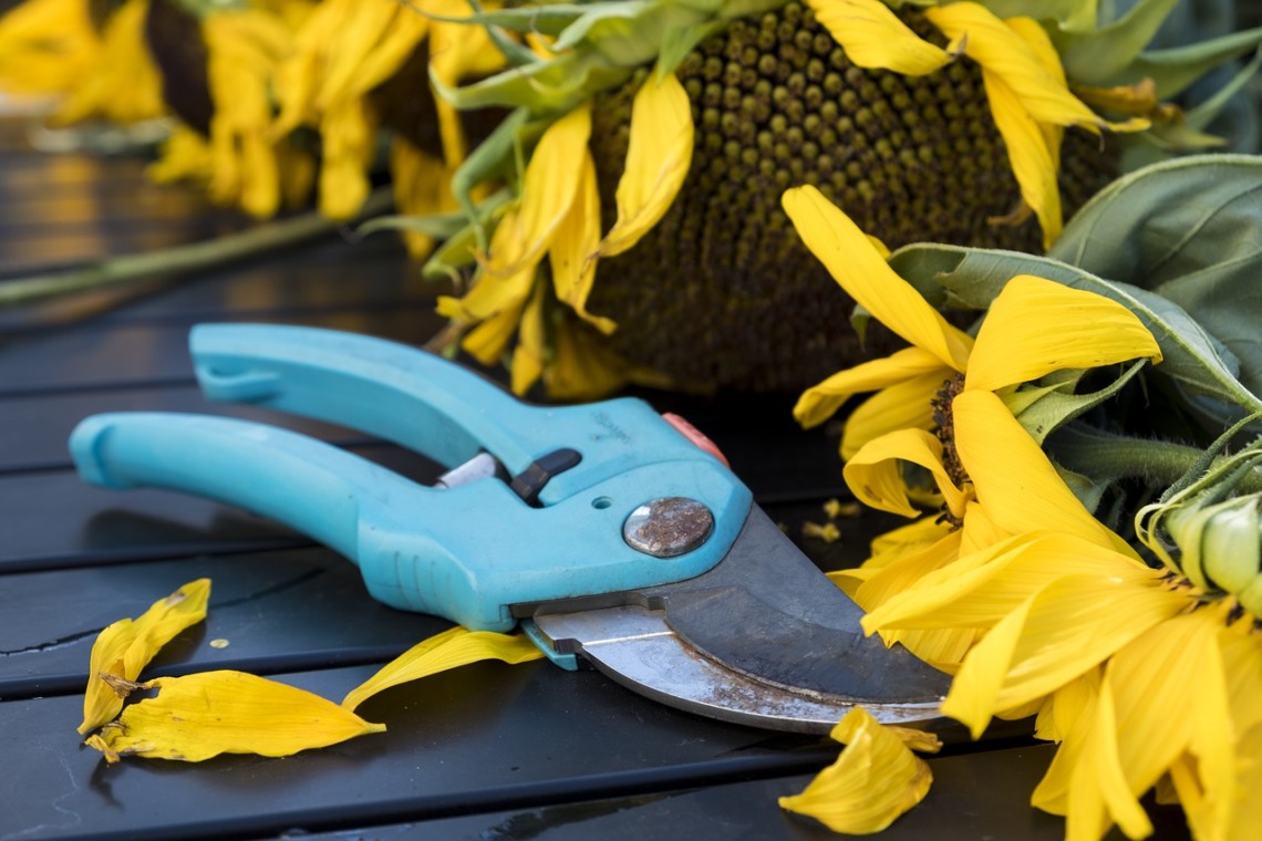 5 outils de jardinage indispensables à acheter pendant les soldes