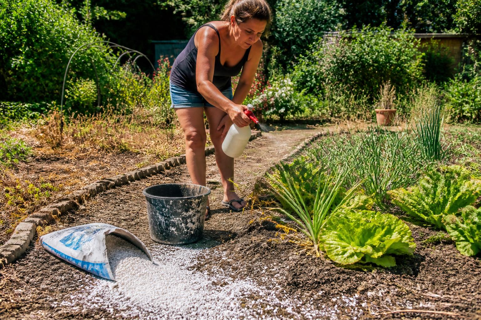 découvrez les erreurs courantes à éviter lors de l'utilisation de désherbant à base de gros sel pour un jardin sain et sans mauvaises herbes.