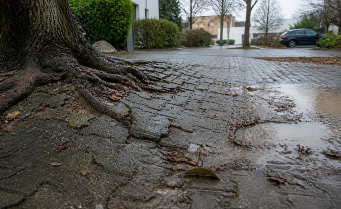 découvrez les principaux inconvénients des pavés drainants et les points essentiels à considérer avant de procéder à leur installation pour éviter des problèmes futurs.