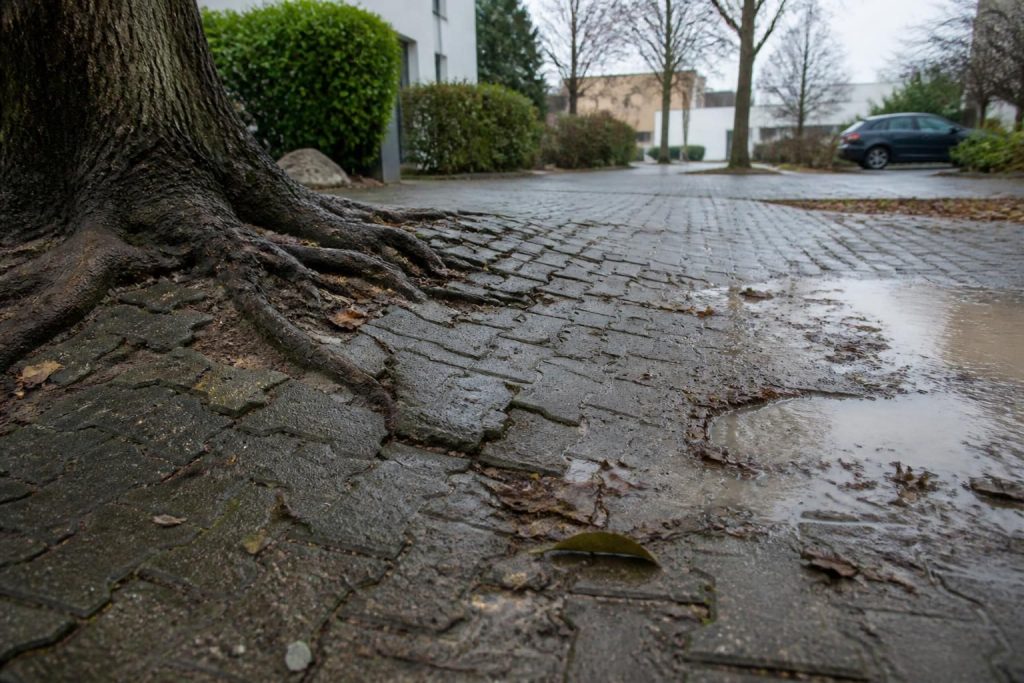 découvrez les principaux inconvénients des pavés drainants et les points essentiels à considérer avant de procéder à leur installation pour éviter des problèmes futurs.