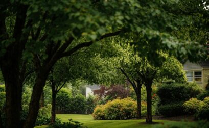 Les inconvénients du catalpa : ce qu'il faut vraiment savoir avant de planter