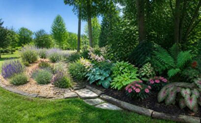 découvrez des idées d’agencement pour votre massif de jardin adaptées à chaque type d’exposition afin de créer un espace harmonieux et fleuri tout au long de l’année.