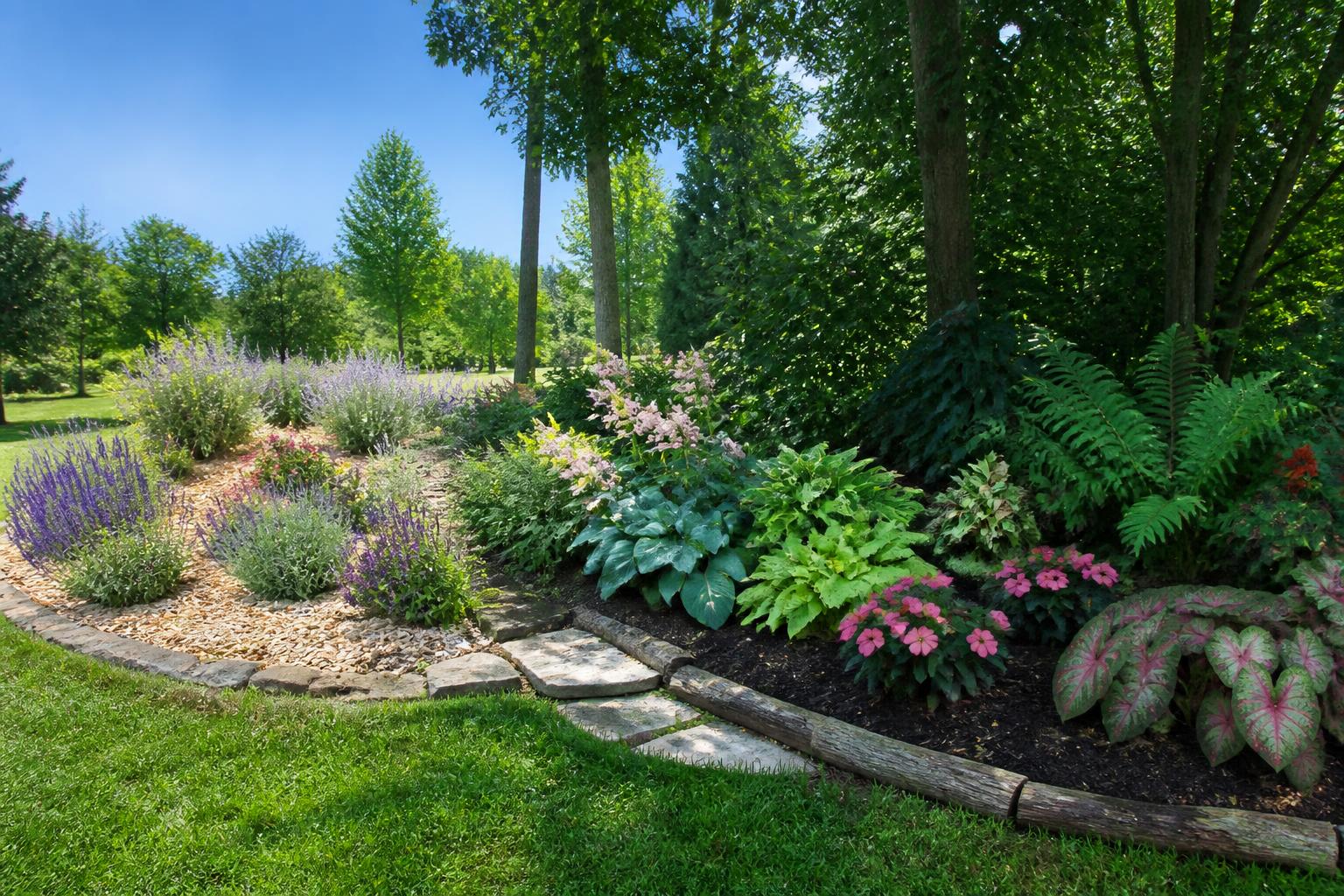découvrez des idées d’agencement pour votre massif de jardin adaptées à chaque type d’exposition afin de créer un espace harmonieux et fleuri tout au long de l’année.