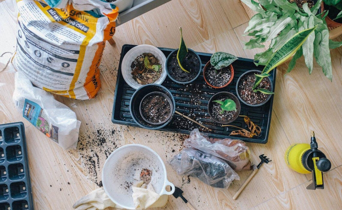 Matériel pour créer son jardin d’intérieur