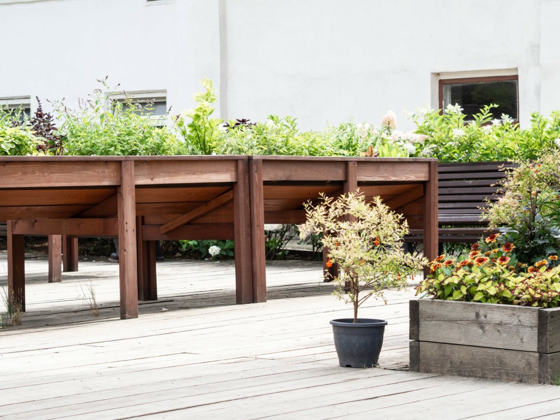 Potagers surélevés