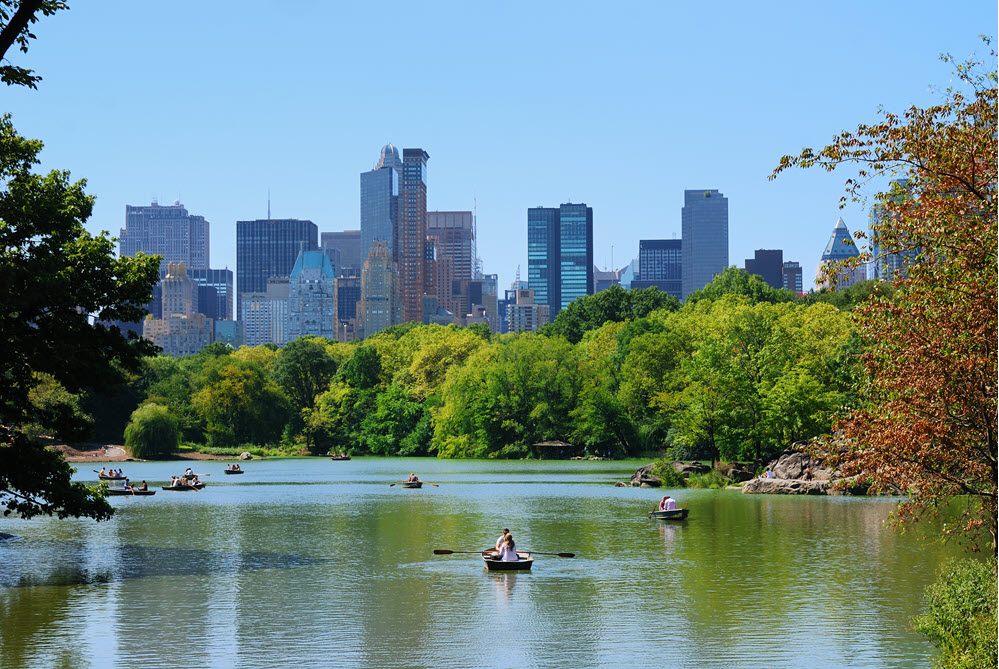 Voir le grand jardin Central Park de New York