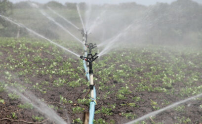 Agriculture : comment mieux gérer l’irrigation ?