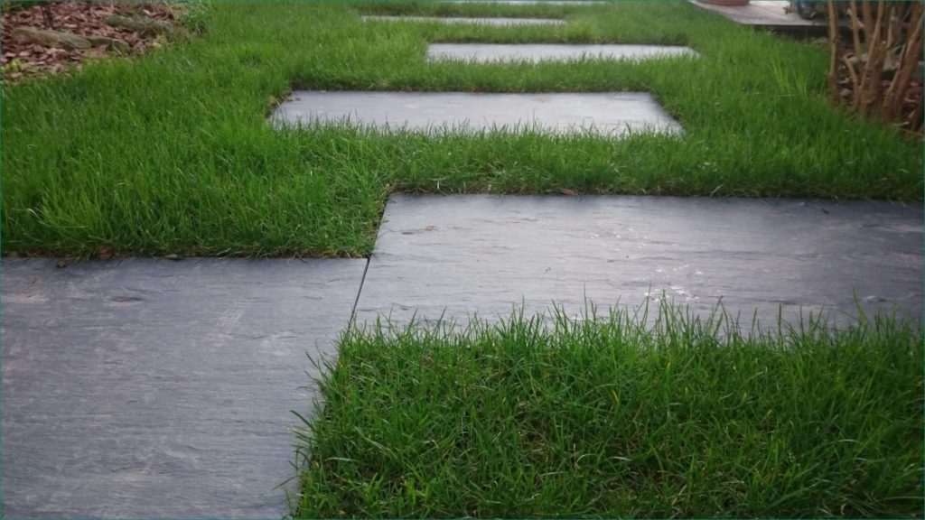 Allée de jardin en pas japonais