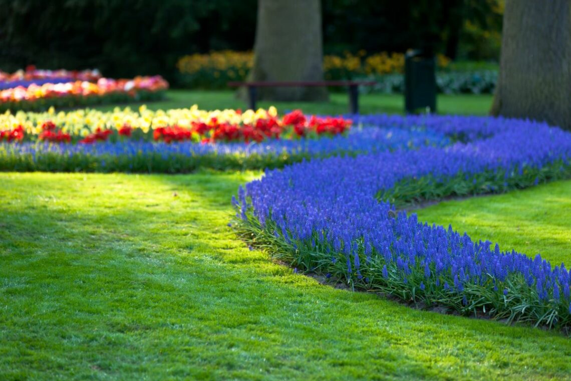 aménagement jardin