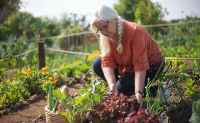 aménagement potager