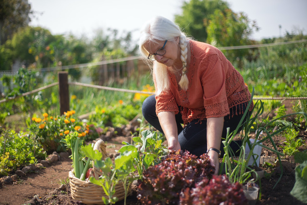 aménagement potager