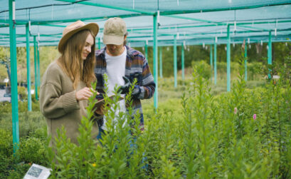 annuaires en ligne de professionnel jardin