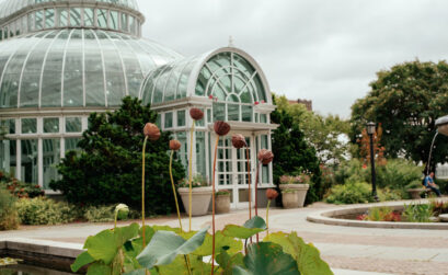 jardins du New York