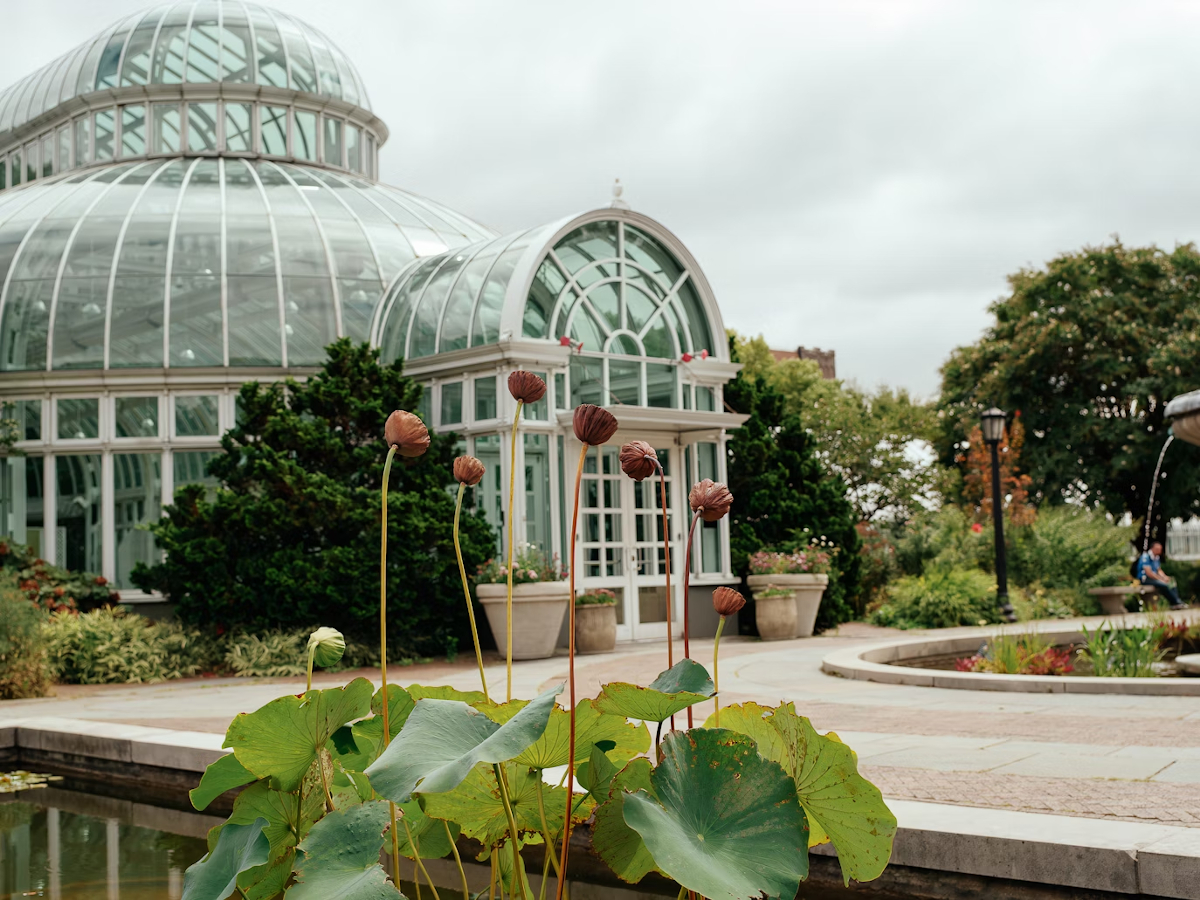 jardins du New York