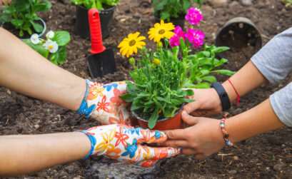 avis sur le jardin sourire