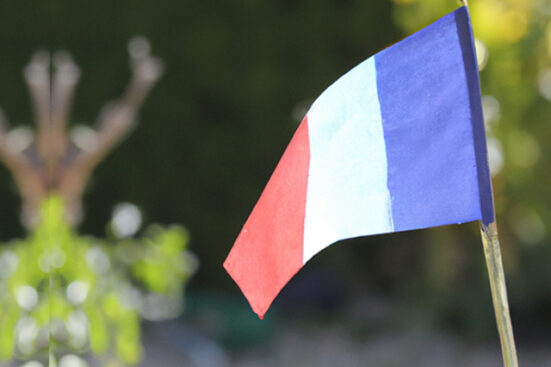 drapeau France jardin