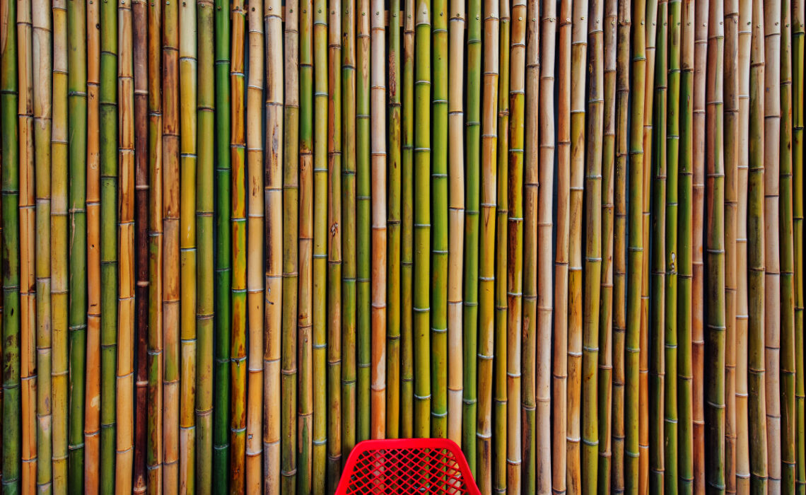 bambou écologique