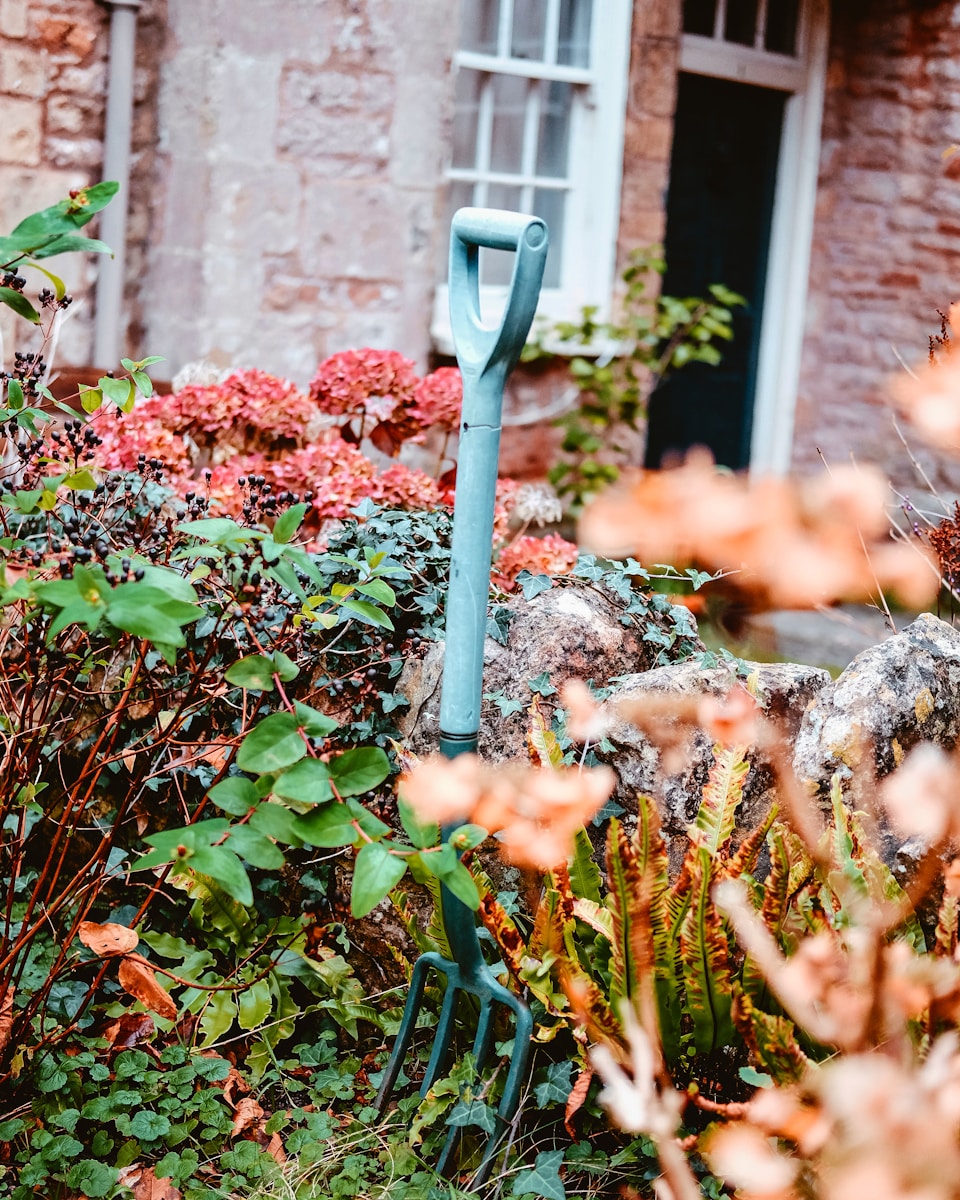 a garden with flowers and a blue pole