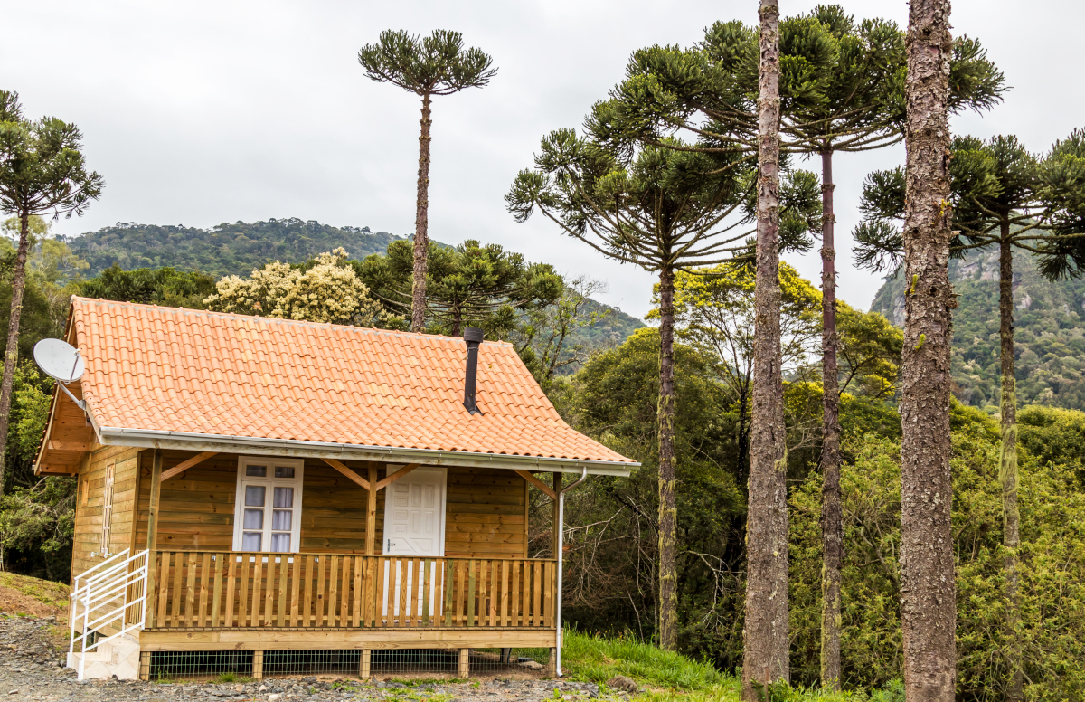 chalets en bois