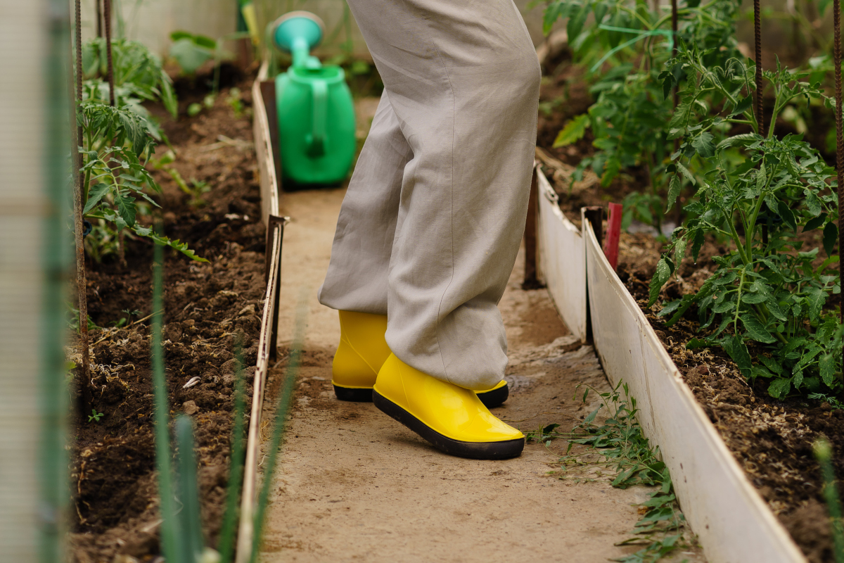 chaussure mode au jardin