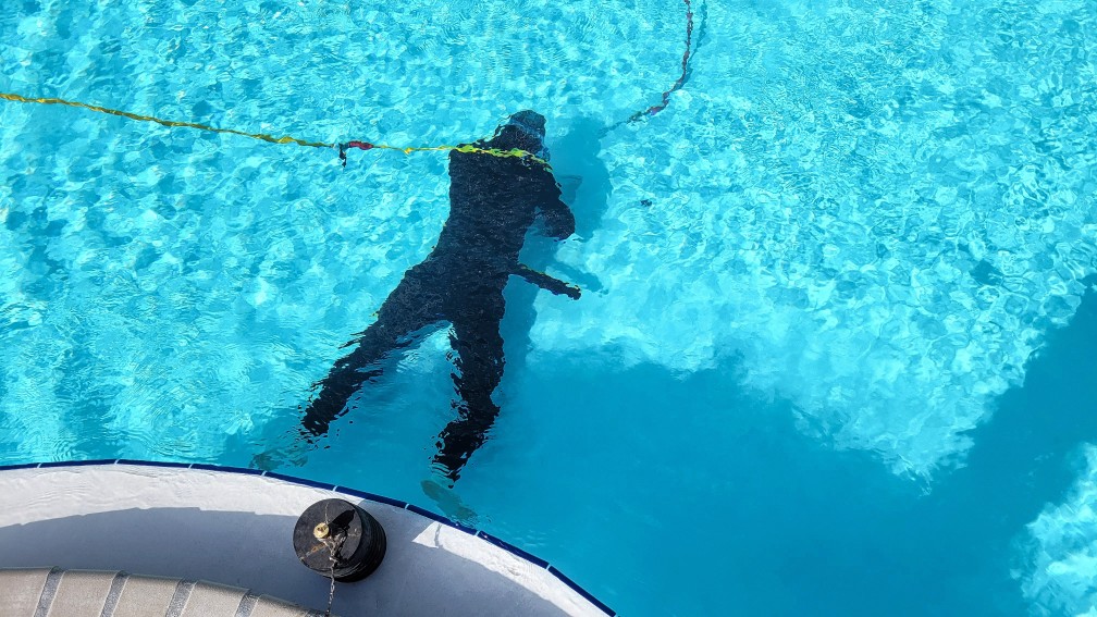 check List routine piscine