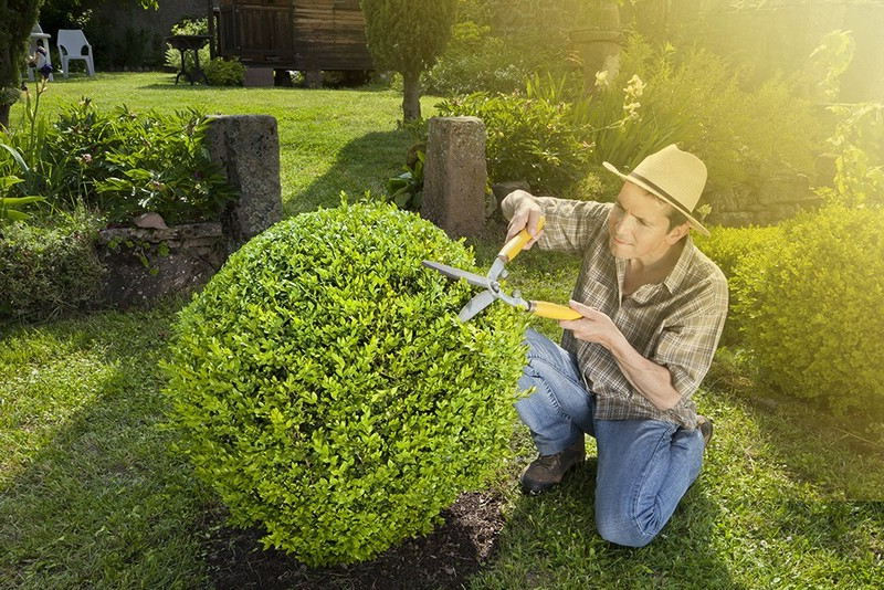 Choix d'un jardinier paysagiste