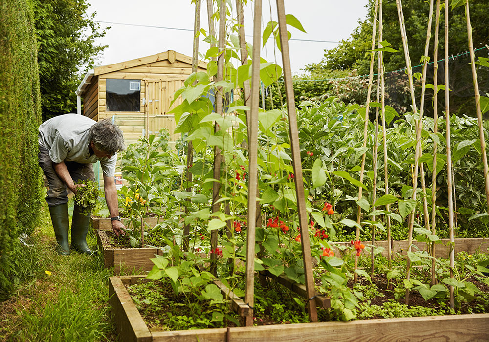 coffres de jardin