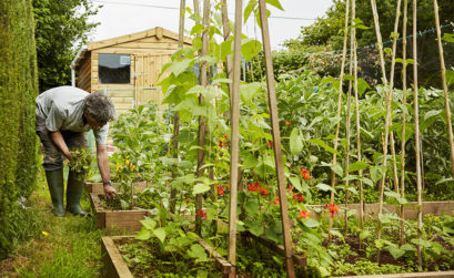 coffres de jardin