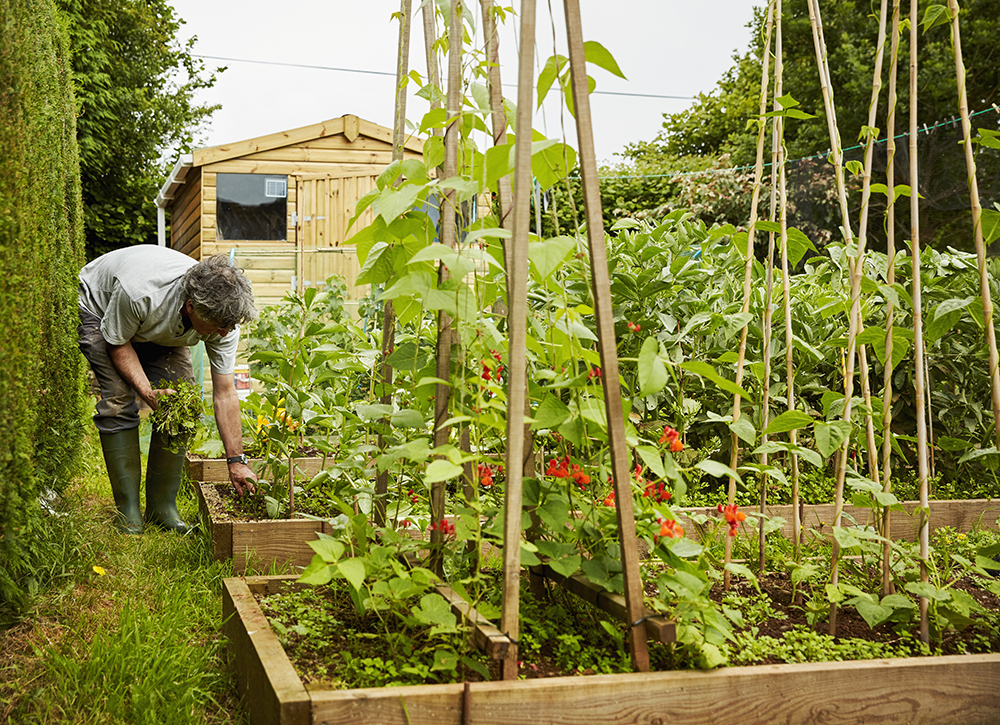 coffres de jardin